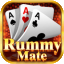 rummy holly icon