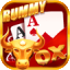 rummy mate download